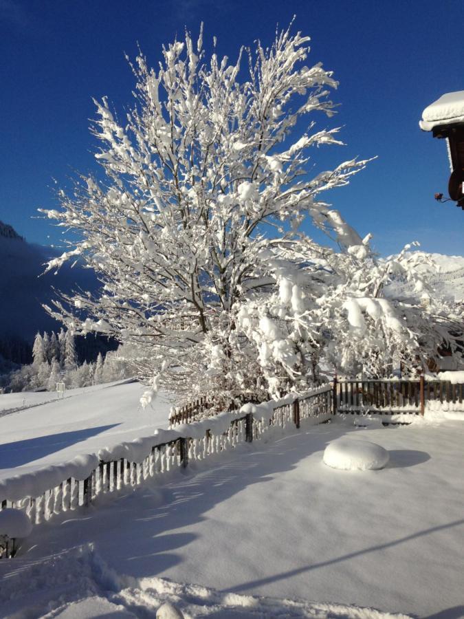 Casa Schuoler Disentis Exterior foto
